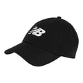6 Panel Curved Brim Snap Back V2.0