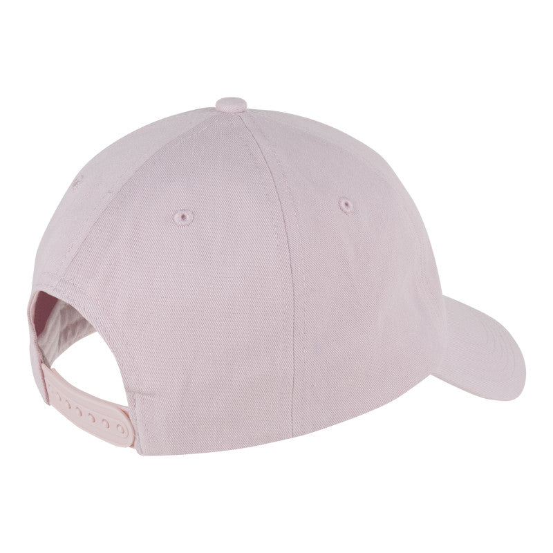 6 Panel Curved Brim Snap Back V2.0